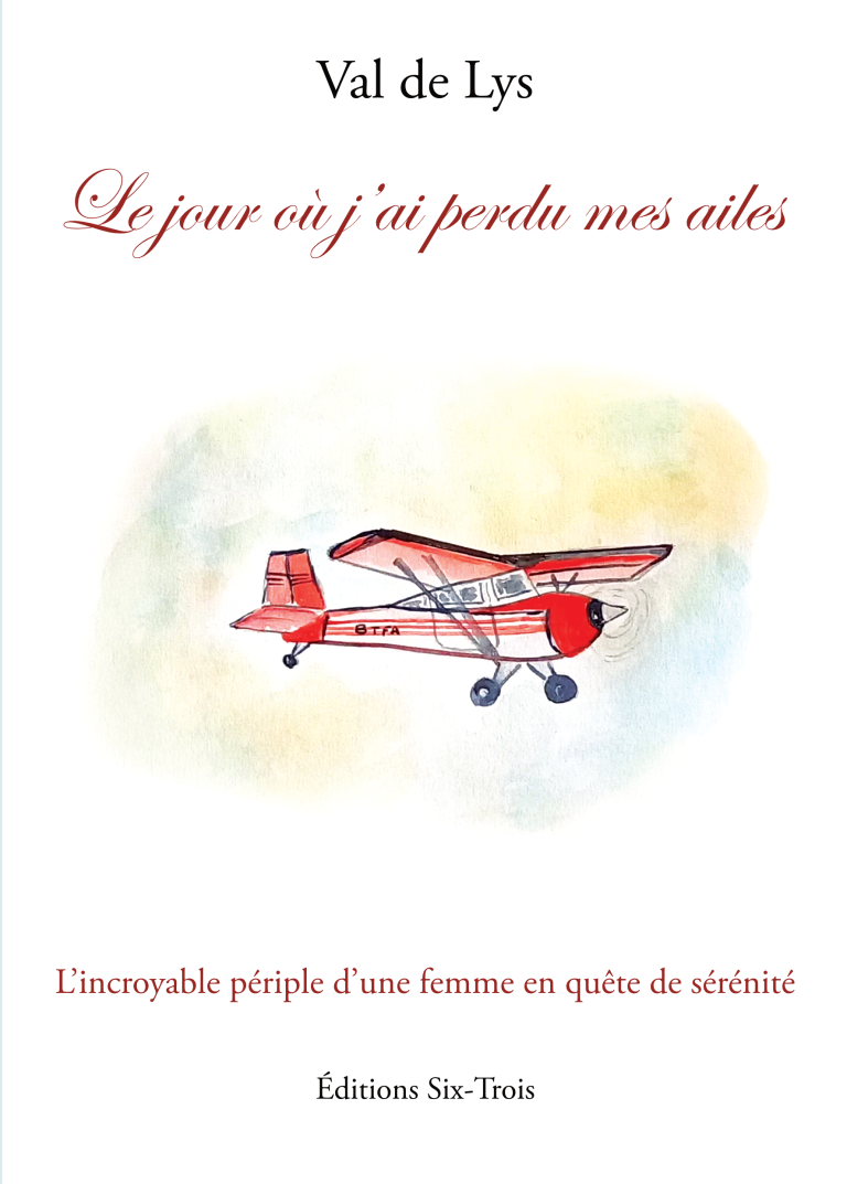 Couverture du livre le jour où j'ai perdu mes ailes
