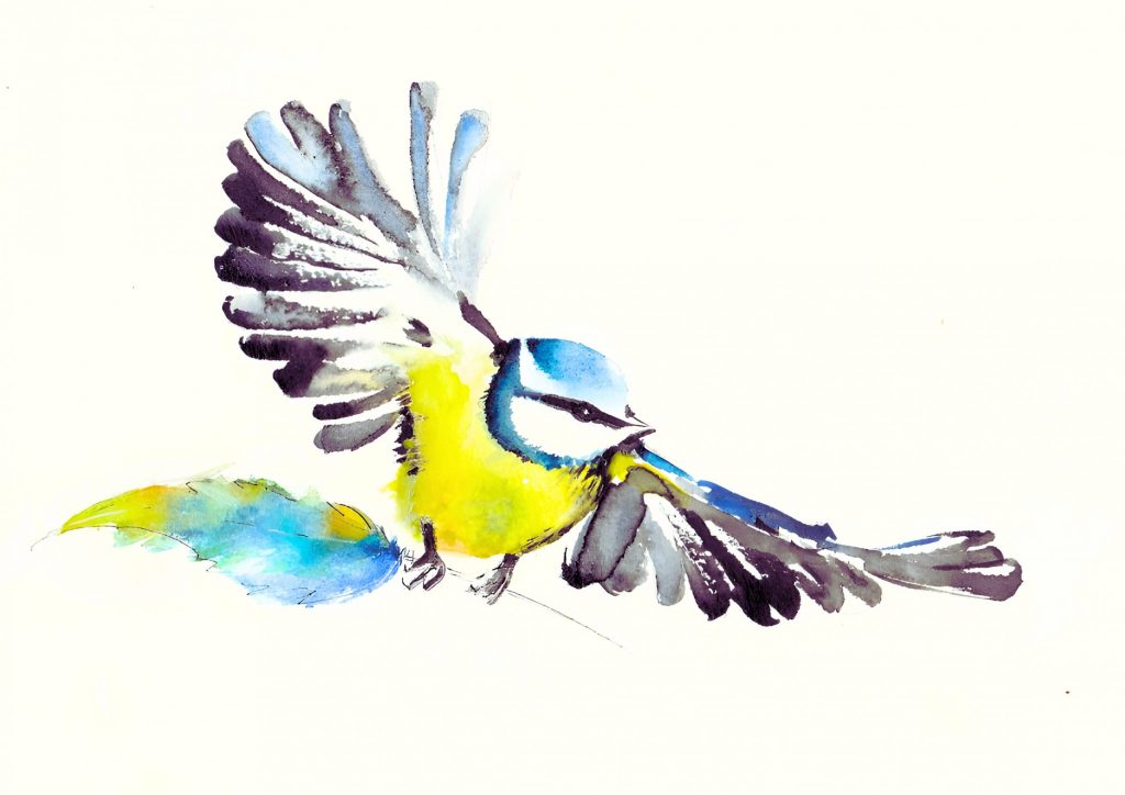 Discussion singulière